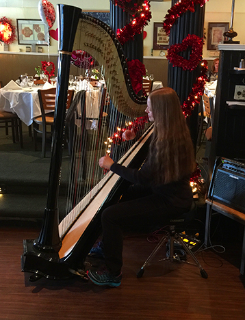 Erin Hill playing harp on Long Island (check out the tennis shoes!)