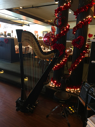 Erin Hill's harp, V'ger, at Finn MacCool's on Long Island