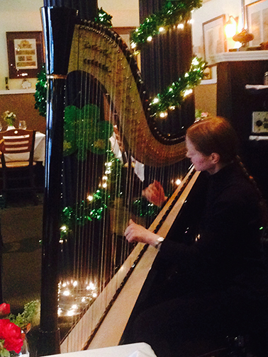 NYC harpist Erin Hill at Finn MacCool's